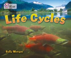 Life Cycles (ISBN: 9780007336401)