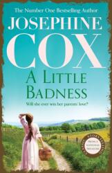 A Little Badness (ISBN: 9781472245748)