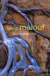An Imaginary Life (ISBN: 9780099273844)