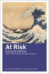 At Risk (ISBN: 9780415252164)