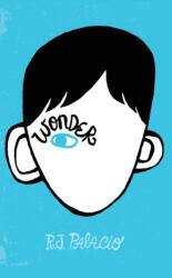 Rollercoasters: Wonder Reader (ISBN: 9780198391012)