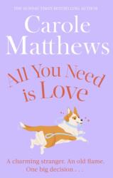 All You Need is Love (ISBN: 9780751551488)