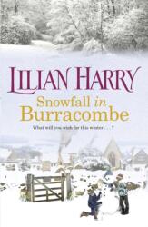 Snowfall in Burracombe (ISBN: 9781409136323)