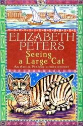 Seeing a Large Cat (ISBN: 9781845295585)