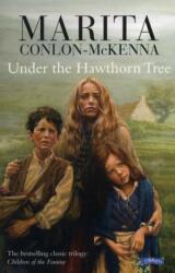 Under the Hawthorn Tree (ISBN: 9780862782061)