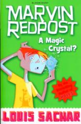 A Magic Crystal? (ISBN: 9781408801666)