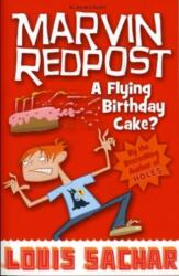 A Flying Birthday Cake? (ISBN: 9781408801642)