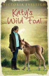Katy's Exmoor Ponies: Katy's Wild Foal (ISBN: 9781444005417)