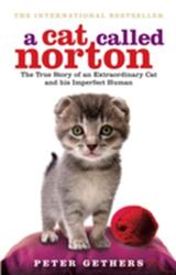 A Cat Called Norton (ISBN: 9780091933296)