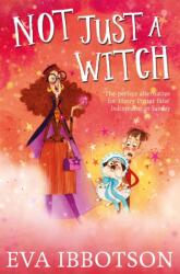 Not Just a Witch (ISBN: 9781447265702)