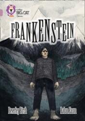 Frankenstein (ISBN: 9780008147365)