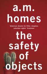 The Safety of Objects (ISBN: 9781847087300)