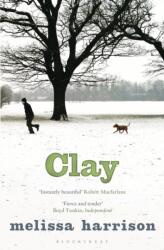 Clay (ISBN: 9781408842553)
