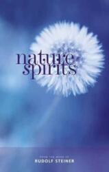 Nature Spirits (ISBN: 9781855845305)