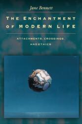 The Enchantment of Modern Life (ISBN: 9780691088136)