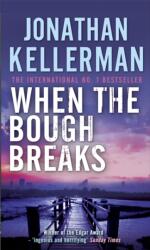 When the Bough Breaks (ISBN: 9780755342815)