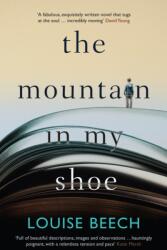 The Mountain in My Shoe (ISBN: 9781910633397)