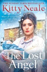 Lost Angel (ISBN: 9781847563538)