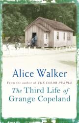 The Third Life of Grange Copeland (ISBN: 9780753819500)