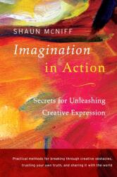 Imagination In Action (ISBN: 9781611802016)