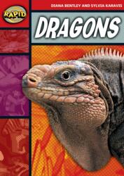 Rapid Stage 2 Set B: Dragons (ISBN: 9780435907976)