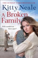 A Broken Family (ISBN: 9781847562449)