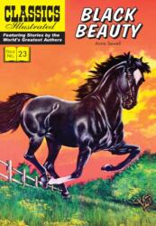 Black Beauty (ISBN: 9781906814496)