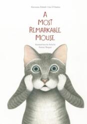 A Most Mysterious Mouse (ISBN: 9781592702138)