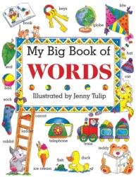 My Big Book of Words (ISBN: 9781861473257)