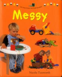 Say and Point Picture Boards: Messy (ISBN: 9781861476906)