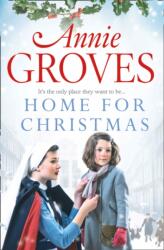 Home for Christmas (ISBN: 9780007361519)