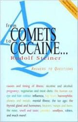 From Comets to Cocaine (ISBN: 9781855840881)