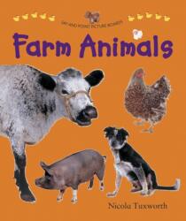 Say and Point Picture Boards: Farm Animals (ISBN: 9781861474766)