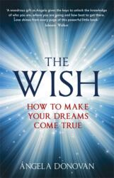 The Wish (ISBN: 9781444740608)