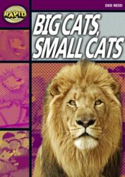 Rapid Reading: Big Cats Small Cats (ISBN: 9780435907846)