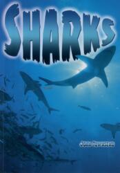Sharks (ISBN: 9781781475393)