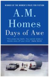 Days of Awe (ISBN: 9781847083258)