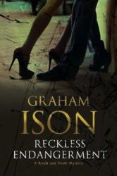 Reckless Endangerment (ISBN: 9781847519177)