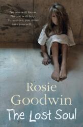 The Lost Soul (ISBN: 9780755353880)