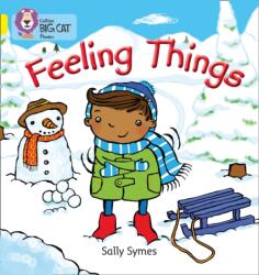 FEELING THINGS (ISBN: 9780007507795)