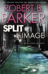 Split Image (ISBN: 9781849160759)