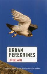 Urban Peregrines (ISBN: 9781907807817)