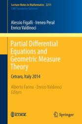 Partial Differential Equations and Geometric Measure Theory (ISBN: 9783319740416)