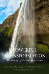 Powerful Transformation (ISBN: 9780997716207)