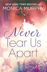Never Tear Us Apart: Never Series 1 (ISBN: 9781472237194)