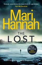 The Lost (ISBN: 9781409174059)