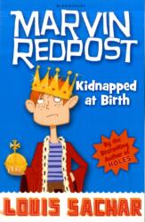 Kidnapped at Birth (ISBN: 9781408801703)