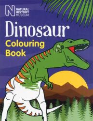 Dinosaur Colouring Book (ISBN: 9780565093075)