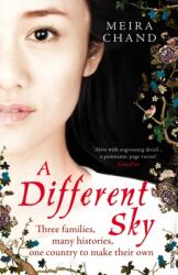 A Different Sky (ISBN: 9780099546245)