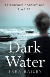 Dark Water (ISBN: 9780995473515)